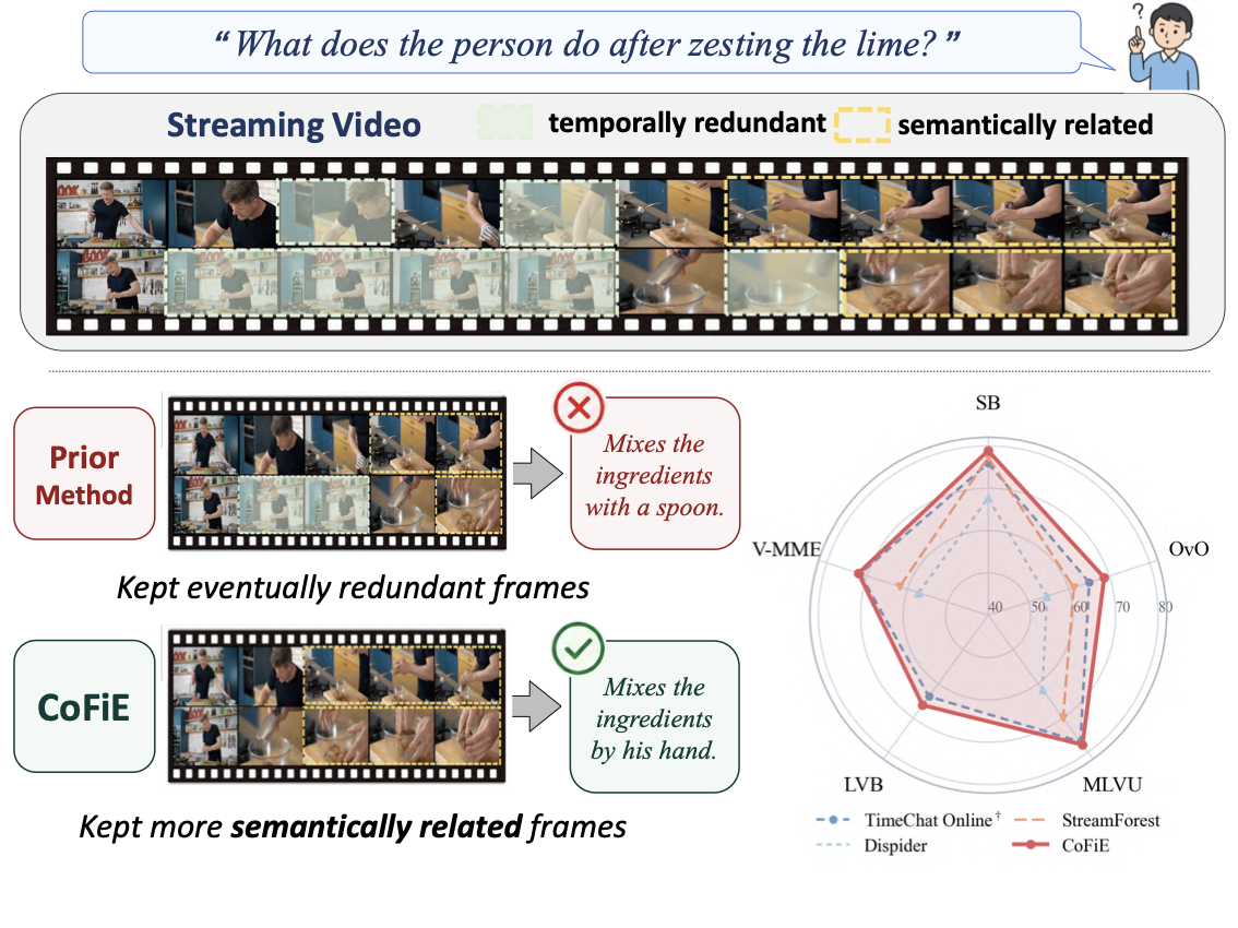 CoFiE overview